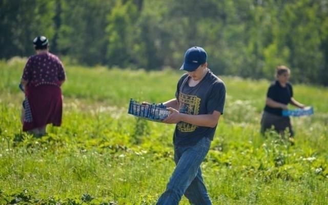 Польша сокращает господдержку для эмигрантов из Украины, – эксперт