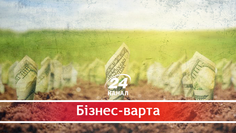 Що в Україні відбувається на ринку землі та якою повинна бути земельна реформа - 24 липня 2018 - Телеканал новин 24