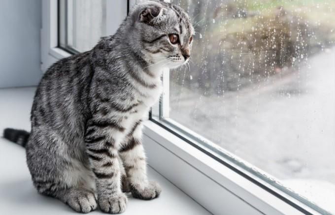 Погода на 26 липня 2018 в Україні - детальний прогноз погоди Погода на 26 липня 2018 в Україні - детальний прогноз погоди