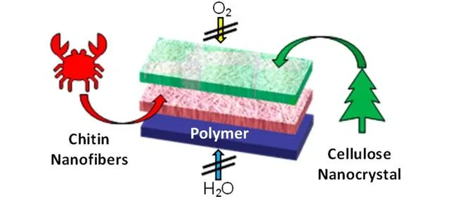 Приклад створення екологічного пластику Приклад створення екологічного пластику