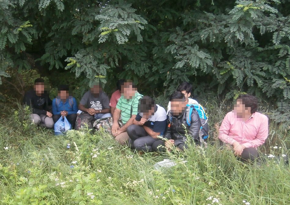 Пограничники задержали большую группу нелегалов на границе с РФ