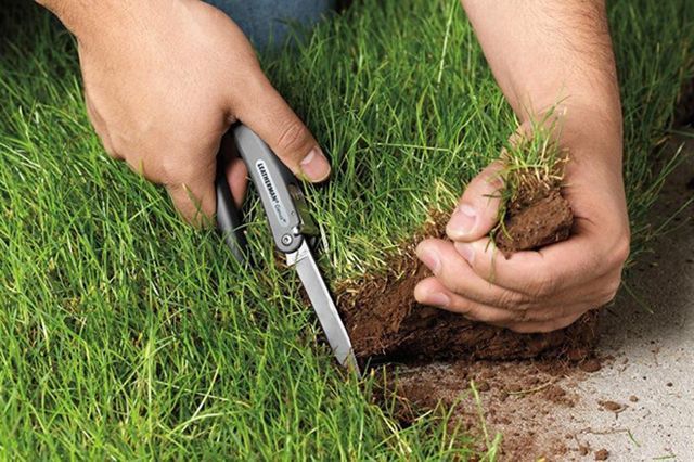 Земельна афера на Львівщині: як чиновники та бізнесмени ховаються серед "атошників" Земельна афера на Львівщині: як чиновники та бізнесмени ховаються серед "атошників"