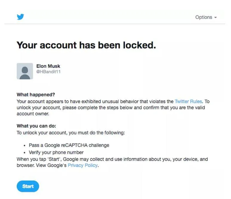 Twitter блокуватиме фейкові акаунти Ілона Маска