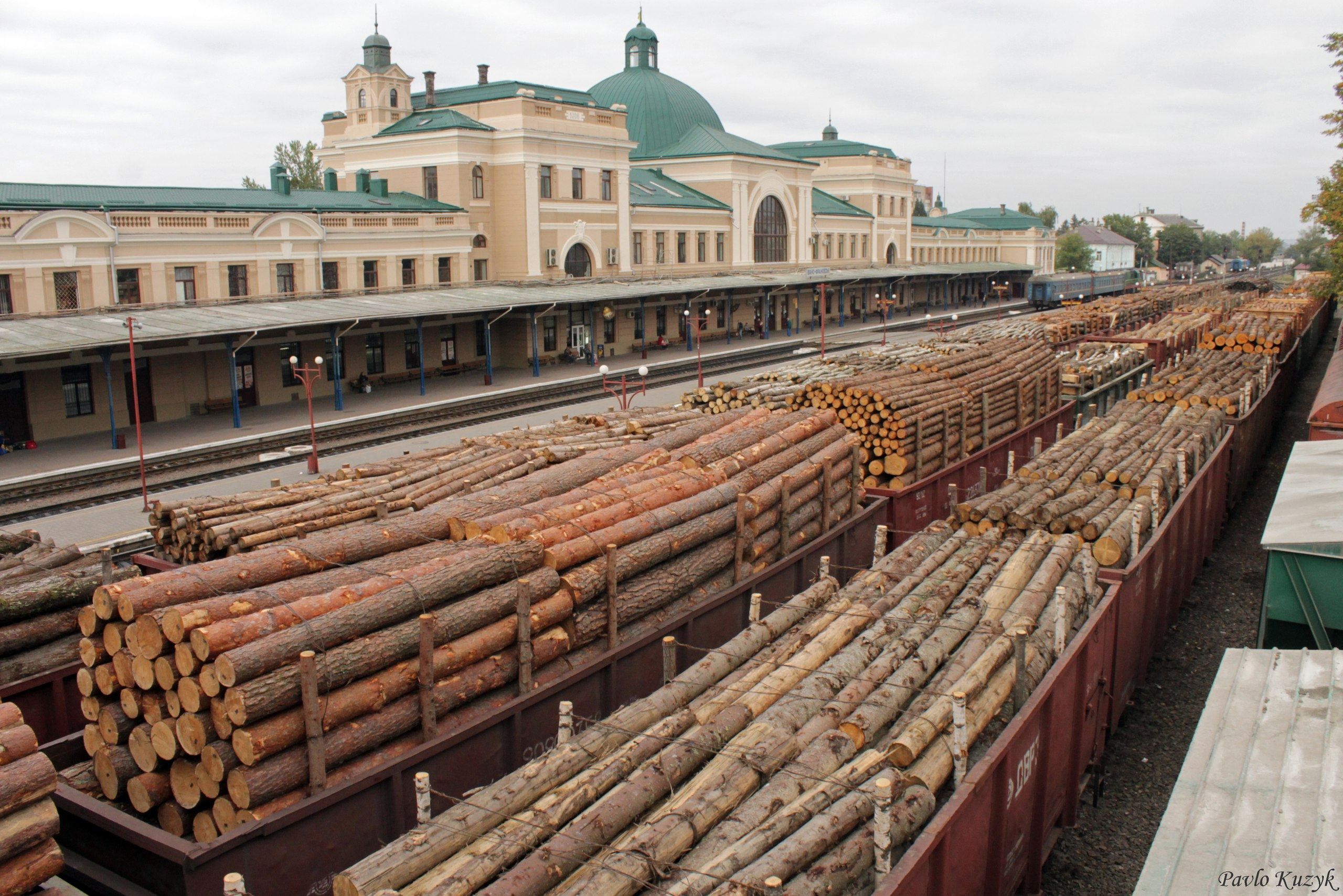 Контрабанду лісу бачать всі, крім глави Держлісагентства, – Галасюк