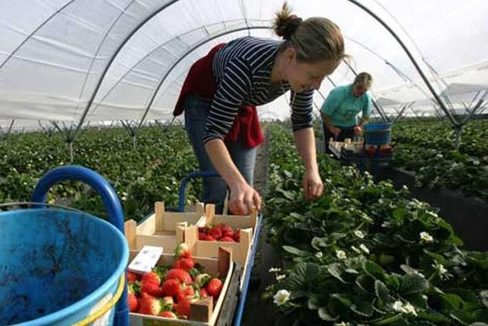 В Польше иностранным гражданам будут платить меньше, – эксперт по трудоустройству В Польше иностранным гражданам будут платить меньше, – эксперт по трудоустройству