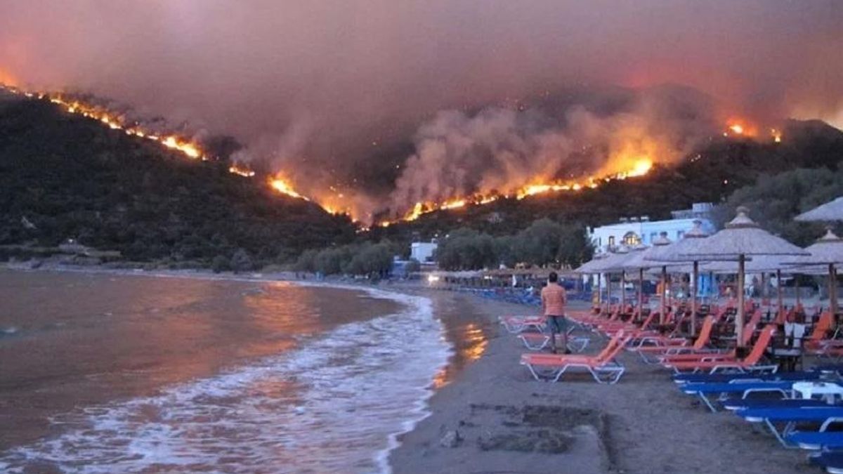 Причина пожара в Греции 2018 - почему возникли лесные пожары