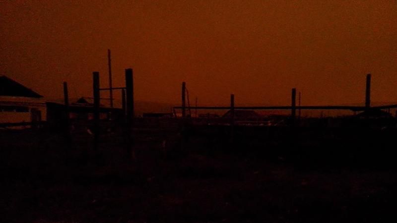 Сонце згасло та масово загинули птахи: дивне явище шокувало Росію Сонце згасло та масово загинули птахи: дивне явище шокувало Росію