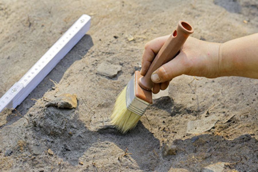 На Черкащині знайшли унікальну знахідку віком 6 тисяч років: вражаюче відео