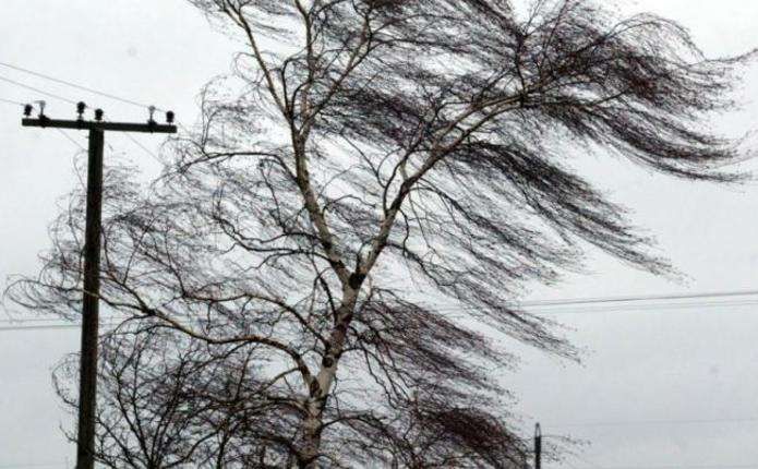 У КМДА попереджають про потужні пориви вітру в Києві У КМДА попереджають про потужні пориви вітру в Києві