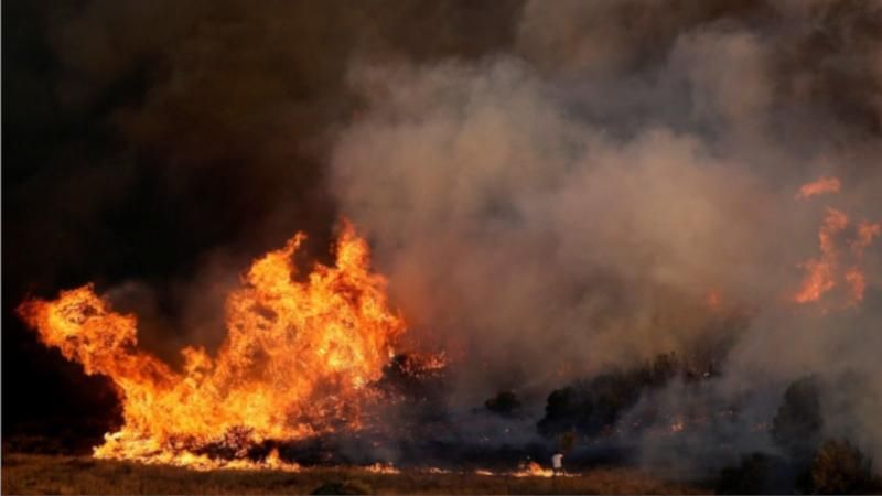 Число жертв пожаров, бушующих в Греции, возросло до 90 человек