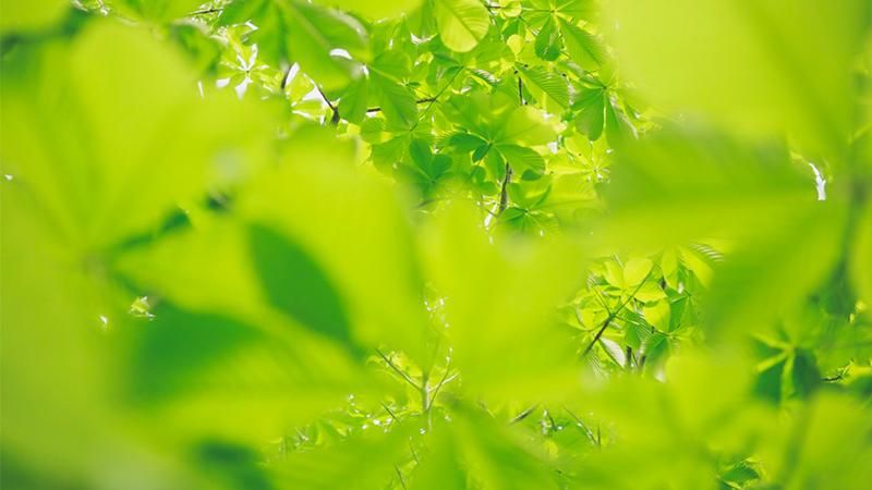 Погода 31 липня 2018 Україна - що прогнозує синоптик Погода 31 липня 2018 Україна - що прогнозує синоптик