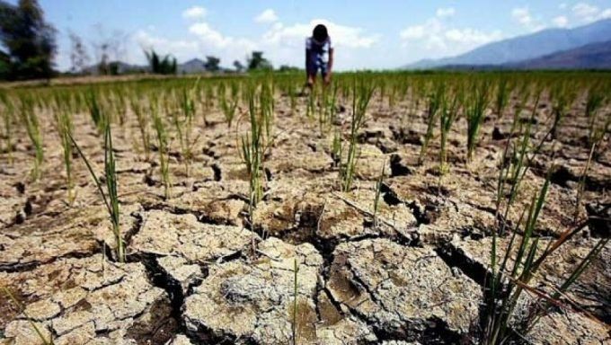 Экологическая катастрофа в Крыму: в России озвучили шокирующие последствия засухи Экологическая катастрофа в Крыму: в России озвучили шокирующие последствия засухи