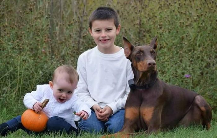 Неймовірна історія: у США хлопчик продав усі свої іграшки, аби вилікувати собаку Неймовірна історія: у США хлопчик продав усі свої іграшки, аби вилікувати собаку