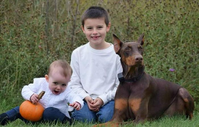 Невероятная история: в США мальчик продал все свои игрушки, чтобы вылечить собаку