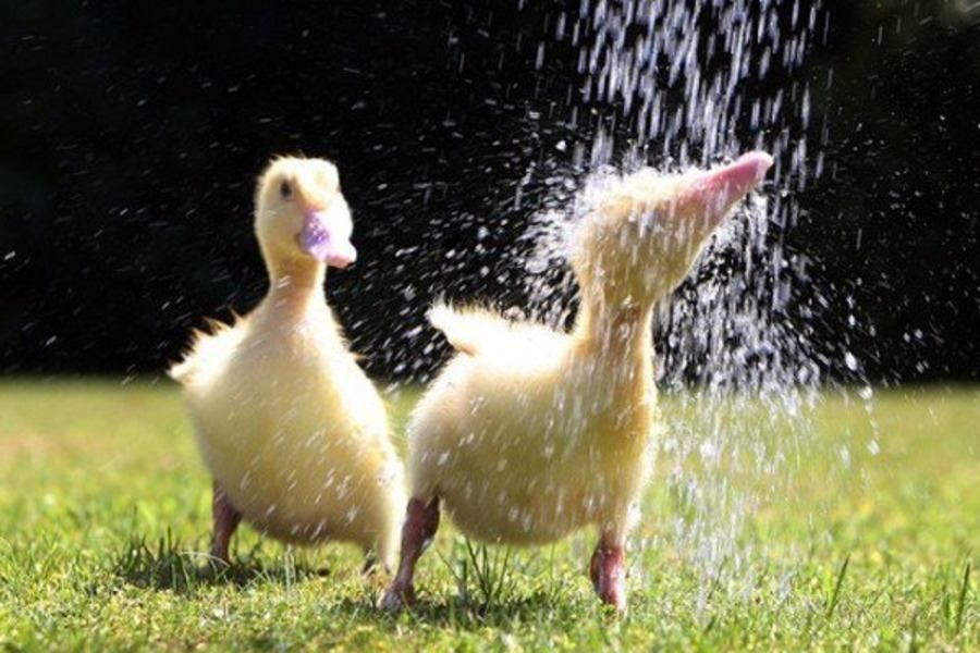 Погода 1 серпня 2018 Україна - що прогнозує синоптик Погода 1 серпня 2018 Україна - що прогнозує синоптик