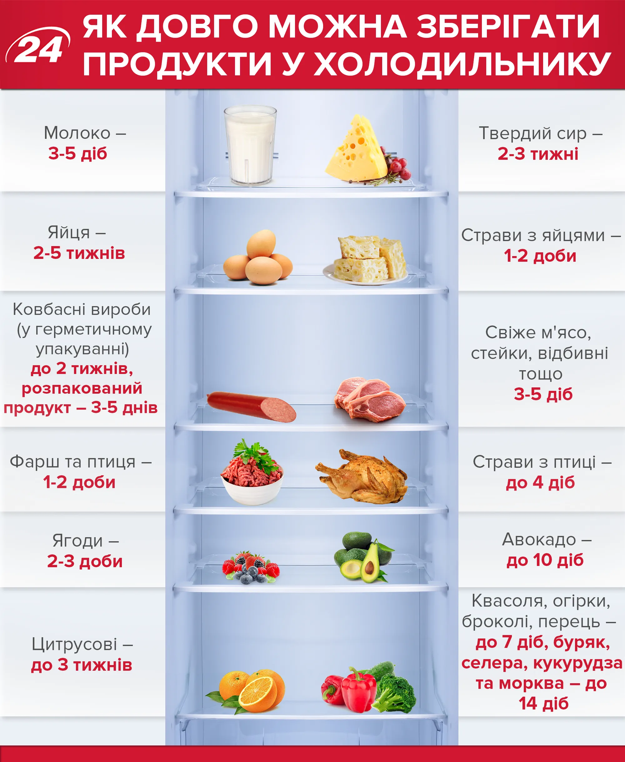 Сколько хранить мясо. Сроки хранения продуктов в холодильнике. Хранение готовых продуктов в холодильнике. Список продуктов в холодильнике. Продукты долго хранящиеся в холодильнике.