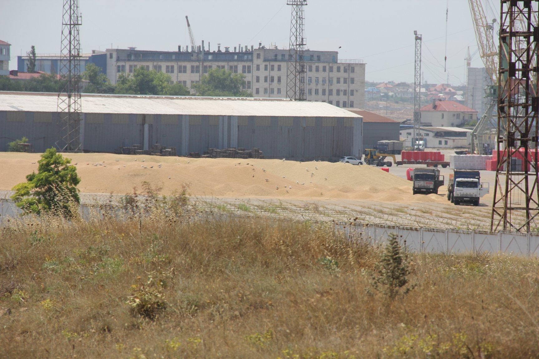 В порту окупованого Севастополя рясні опади заливають тонни зерна: фото