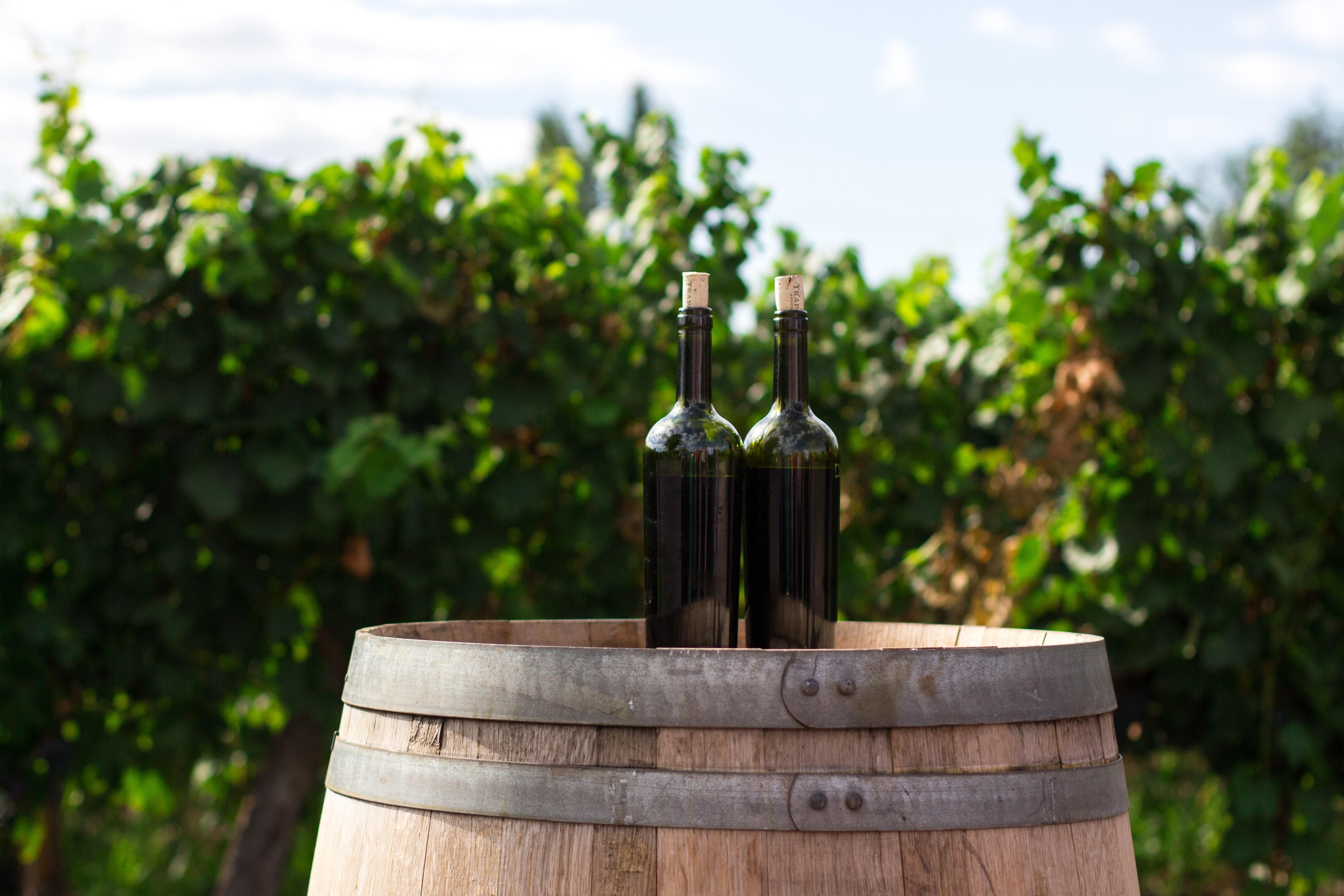 Все про вино - як вино дорослішає та змінює смак з часом