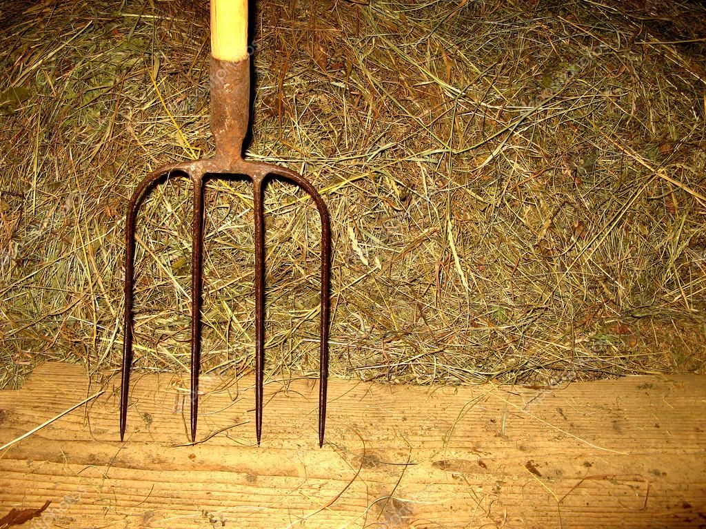 В Ровненской области мужчина с вилами напал на полицейского В Ровненской области мужчина с вилами напал на полицейского