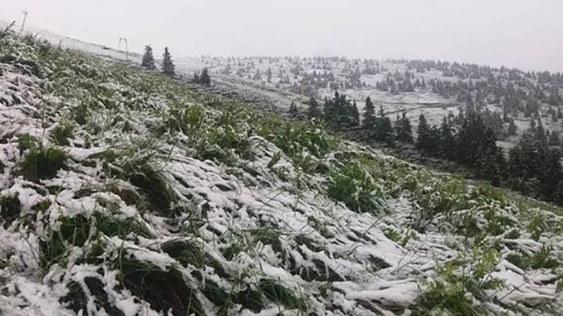 Літо чи зима: у Карпатах знову падав сніг Літо чи зима: у Карпатах знову падав сніг