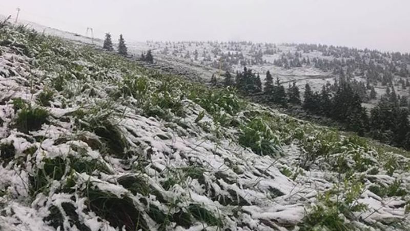 Літо чи зима: у Карпатах знову падав сніг 