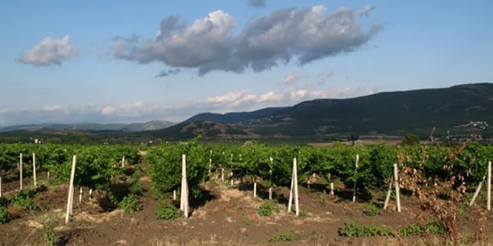 Россия получила новые серьезные проблемы в оккупированном Крыму Россия получила новые серьезные проблемы в оккупированном Крыму