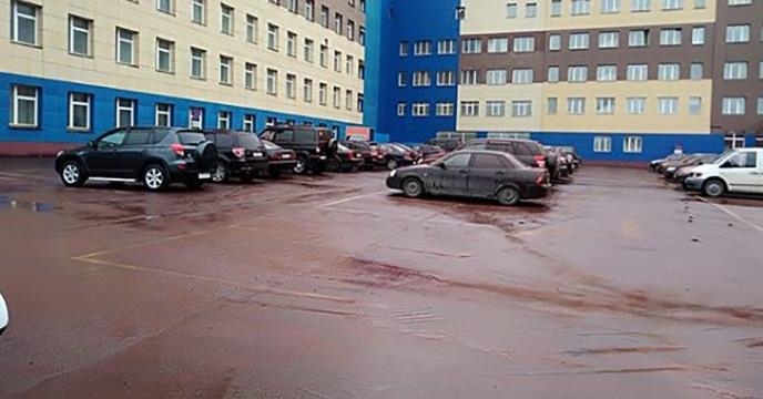 В России выпал "кровавый" дождь: шокирующие фото и видео