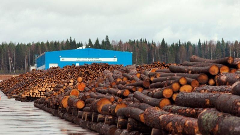 Верховная Рада определилась с наказанием для контрабандистов леса Верховная Рада определилась с наказанием для контрабандистов леса