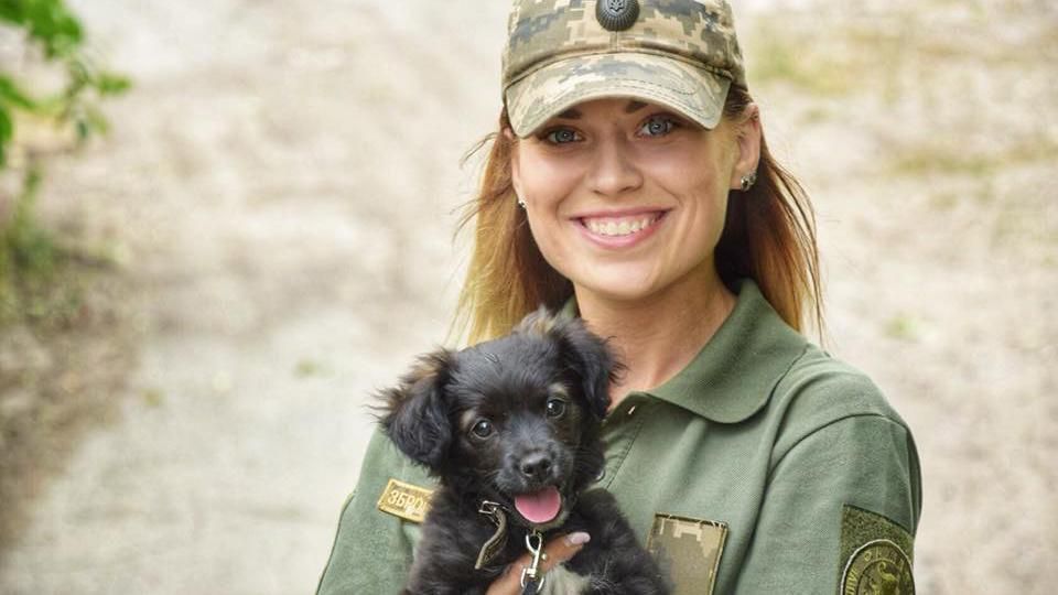 Пиарщики Порошенко украли фото: скандал получил неожиданное развитие Пиарщики Порошенко украли фото: скандал получил неожиданное развитие