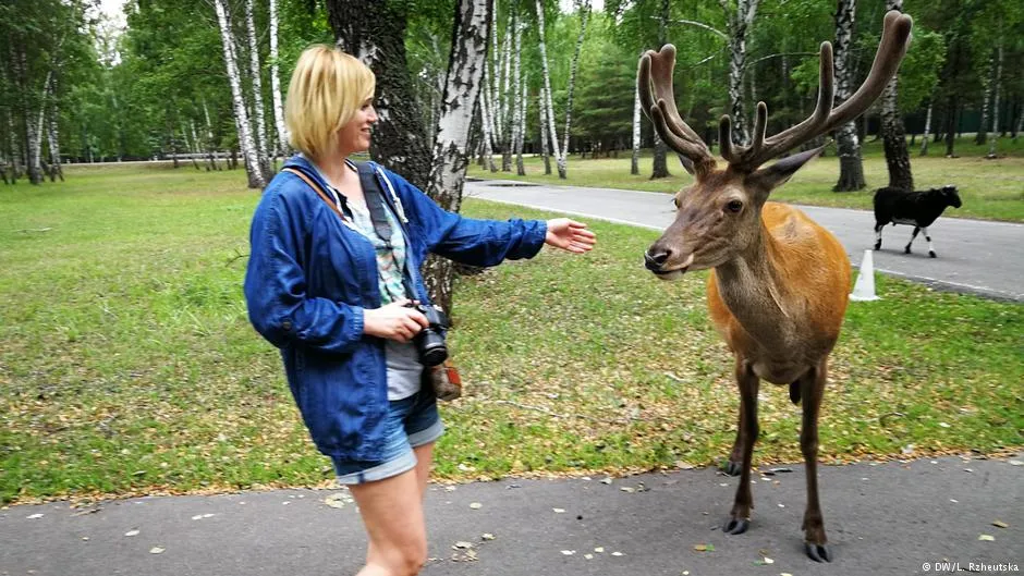 Сухолуччя, резиденція, літо, Київ 