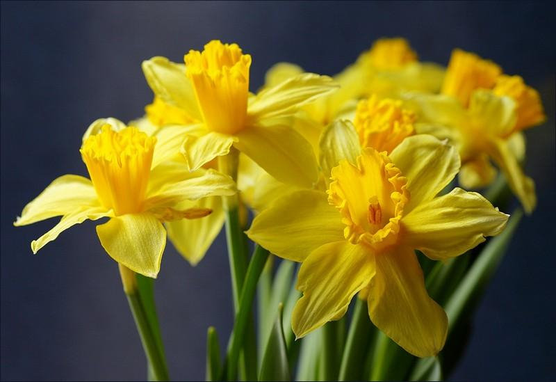 Нация нарциссов: ученые назвали самую самовлюбленную страну в мире