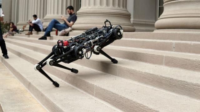 Американцы создали "слепого" робота-гепарда: каковы его функции Американцы создали "слепого" робота-гепарда: каковы его функции