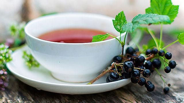 Чай з листя смородини порятує від низки хвороб: цілющі властивості