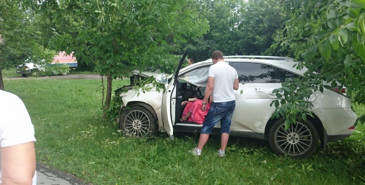 У Росії нетвереза жінка на Lexus повалила дерева та допивала горілку в машині поліції