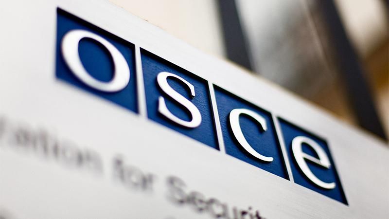 В ОБСЄ занепокоєні українським законопроектом про кібербезпеку
