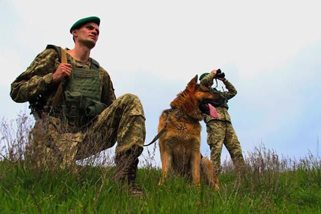 Украинские пограничники в очередной раз помогли Интерполу Украинские пограничники в очередной раз помогли Интерполу