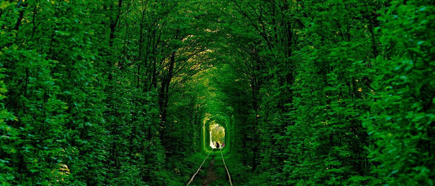Въезд в "Тоннель любви", в Ровненской области, будет платным: известна стоимость Въезд в "Тоннель любви", в Ровненской области, будет платным: известна стоимость