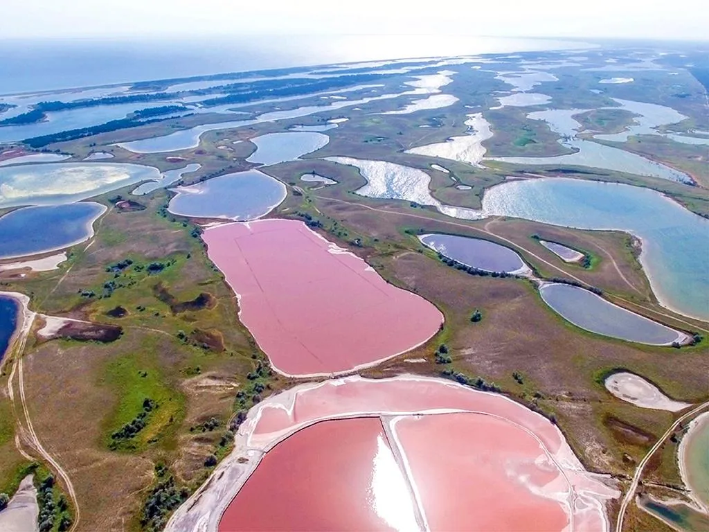 Кінбурнська коса Кінбурнська коса