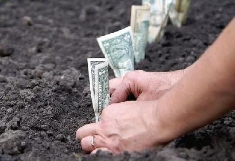 По закону не подкопаешься: как "самые умные" получают земельные участки бесплатно По закону не подкопаешься: как "самые умные" получают земельные участки бесплатно