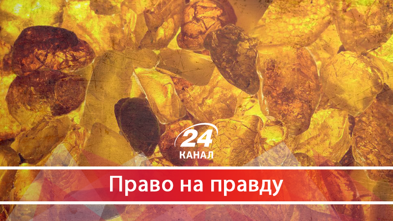 Як працює узаконений видобуток бурштину: досвід США Як працює узаконений видобуток бурштину: досвід США