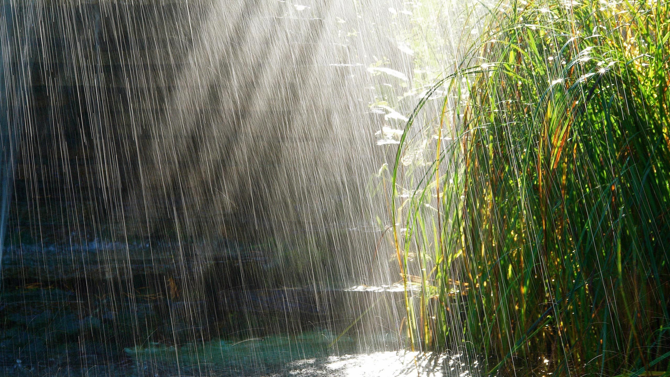 Погода 14 липня 2018 Україна: дощі з грозами, спека Погода 14 липня 2018 Україна: дощі з грозами, спека