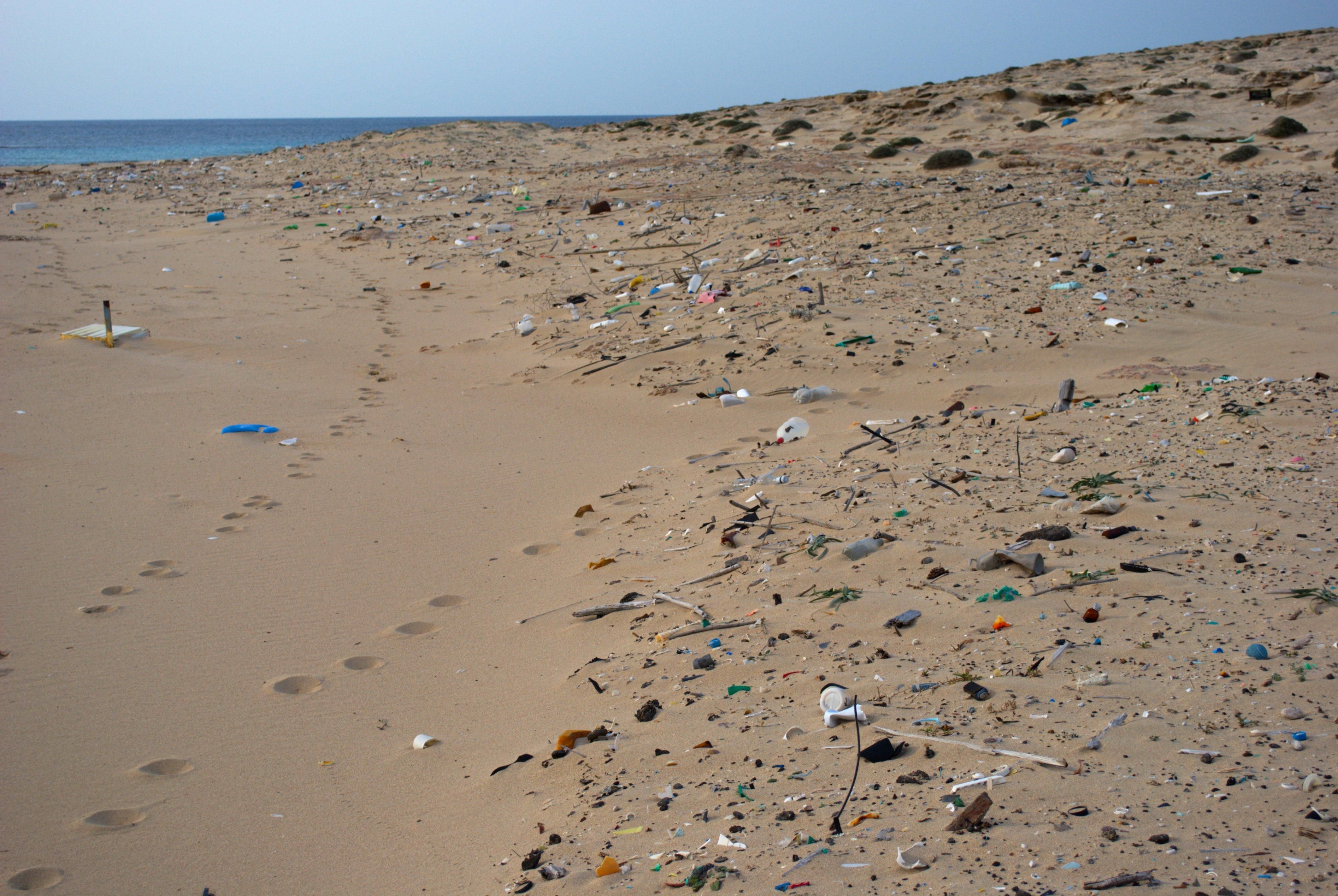 В Черкасской области неравнодушные люди собрались на пляжный субботник В Черкасской области неравнодушные люди собрались на пляжный субботник