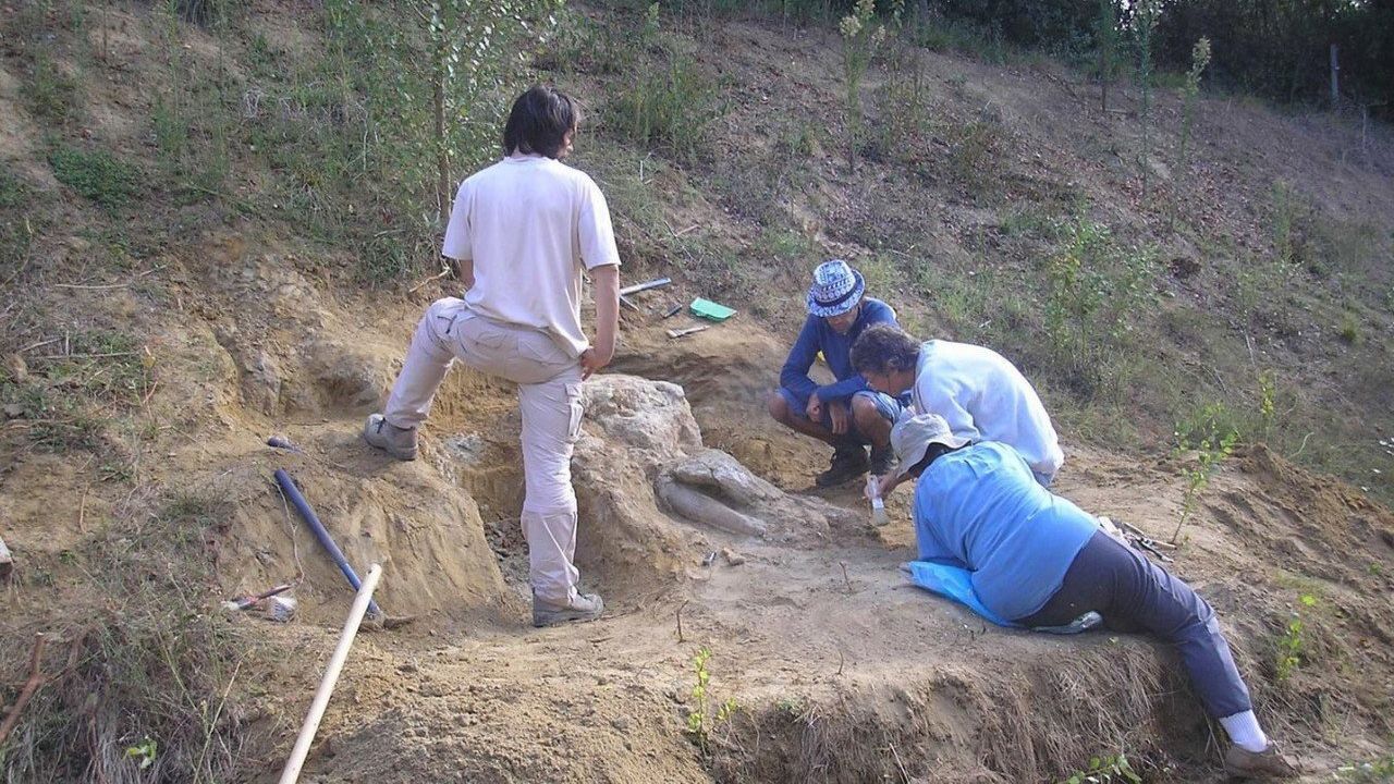 У Франції виявили череп тварини, яка вимерла ще 10 мільйонів років тому У Франції виявили череп тварини, яка вимерла ще 10 мільйонів років тому