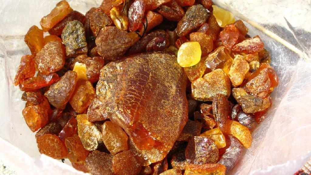 Житель Ужгорода хотел вывезти больше 20 килограммов янтаря за границу Житель Ужгорода хотел вывезти больше 20 килограммов янтаря за границу