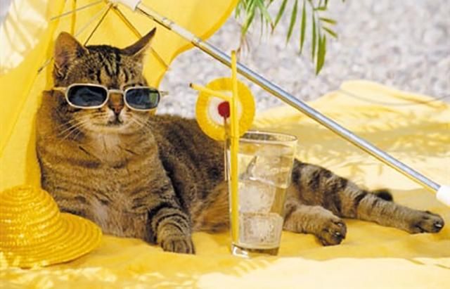 Погода 2 серпня 2018 в Україні – шалена спека Погода 2 серпня 2018 в Україні – шалена спека