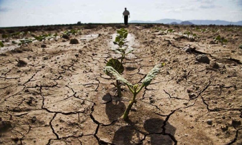 Стан екології в Криму катастрофічний, – Гримчак Стан екології в Криму катастрофічний, – Гримчак