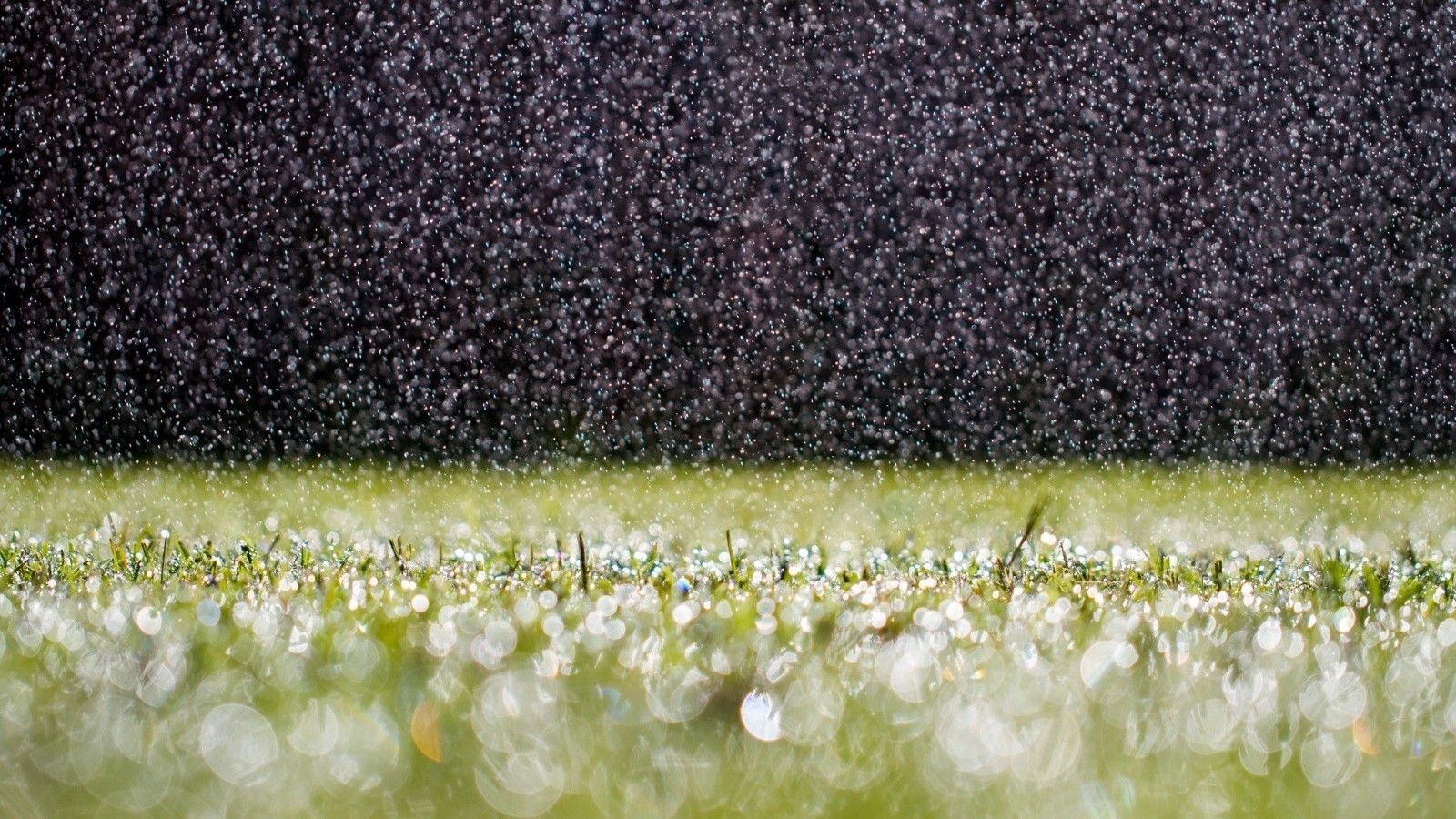 Погода на 5 серпня 2018 в Україні - прогноз синоптика Погода на 5 серпня 2018 в Україні - прогноз синоптика