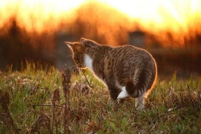 Погода на 6 серпня 2018 в Україні - прогноз синоптика Погода на 6 серпня 2018 в Україні - прогноз синоптика