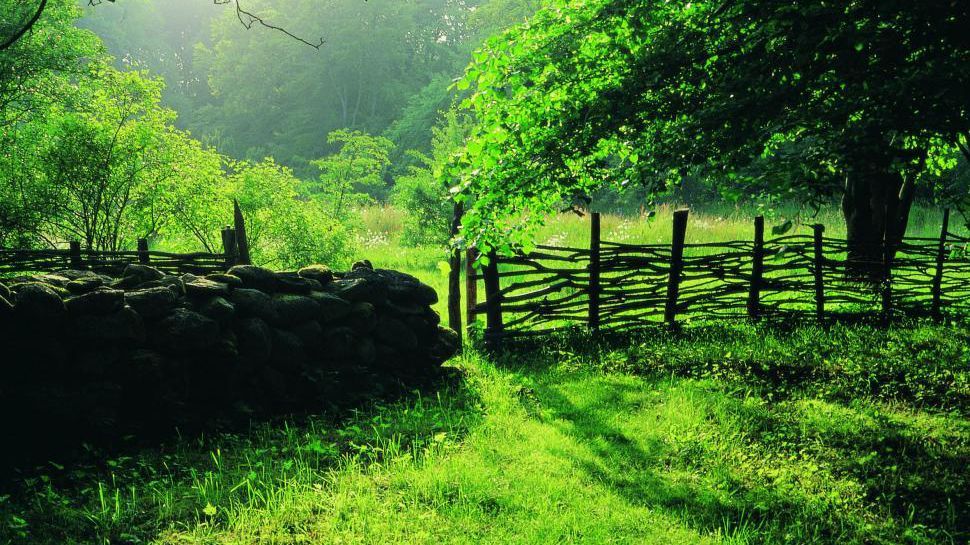 Известно, сколько депутатов отдыхает в санаториях Верховной Рады Известно, сколько депутатов отдыхает в санаториях Верховной Рады