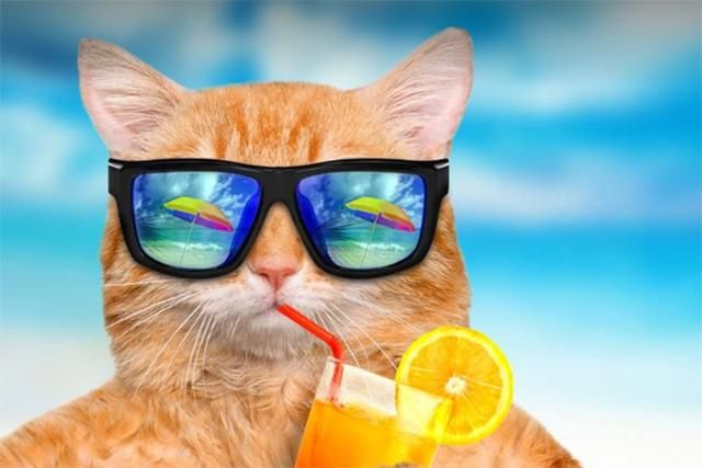 Погода 4 серпня 2018 Україна: синоптик прогнозує спеку Погода 4 серпня 2018 Україна: синоптик прогнозує спеку